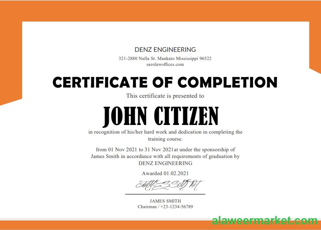 USA Denz Engineering Internship Cert